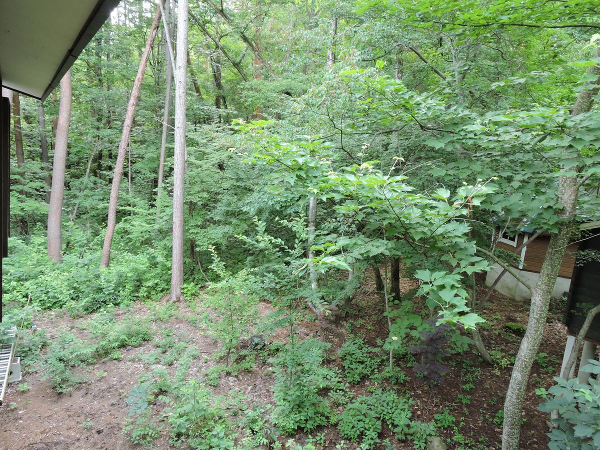 Momiji Guesthouse Cottages - Alpine Route Omachi  Bagian luar foto
